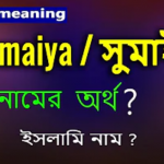 সুমাইয়া নামের অর্থ কি?