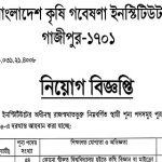 ২৩৯ পদে বাংলাদেশ কৃষি গবেষণা ইনস্টিটিউটের নতুন নিয়োগ বিজ্ঞপ্তি প্রকাশ