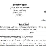 ২৪১৬ পদে সমন্বিত ৭ ব্যাংকের নতুন নিয়োগ বিজ্ঞপ্তি প্রকাশ